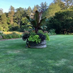 Meet your Posher, Aileen